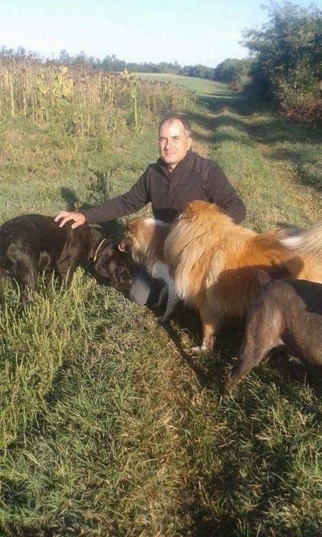seta_kozben_szeri....jpg